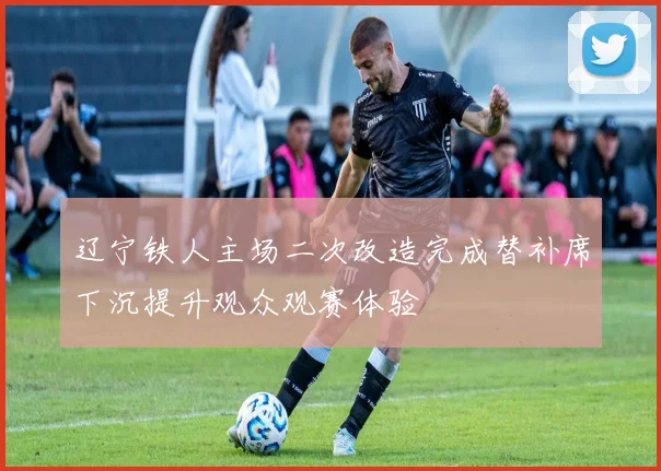 辽宁铁人主场二次改造完成替补席下沉提升观众观赛体验